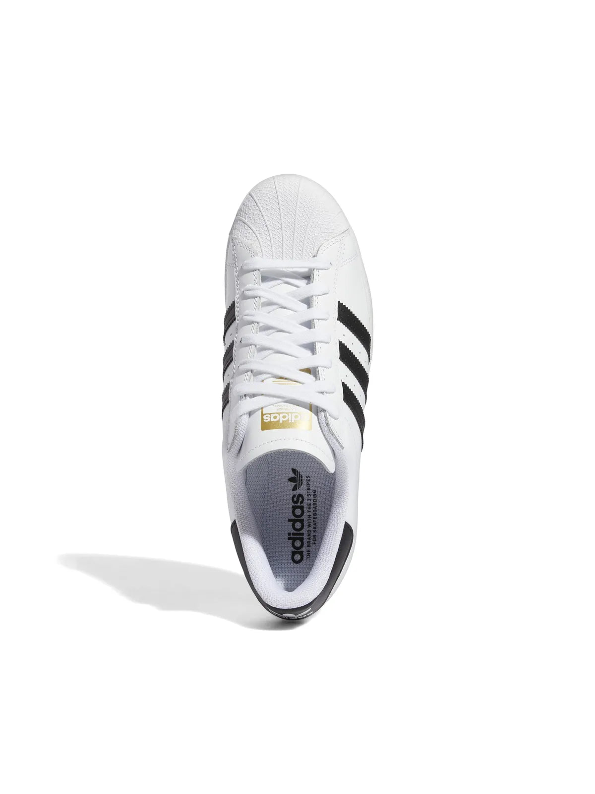 Sneakers Adidas-Superstar Adv-Ftwr White, vue détail chaussure