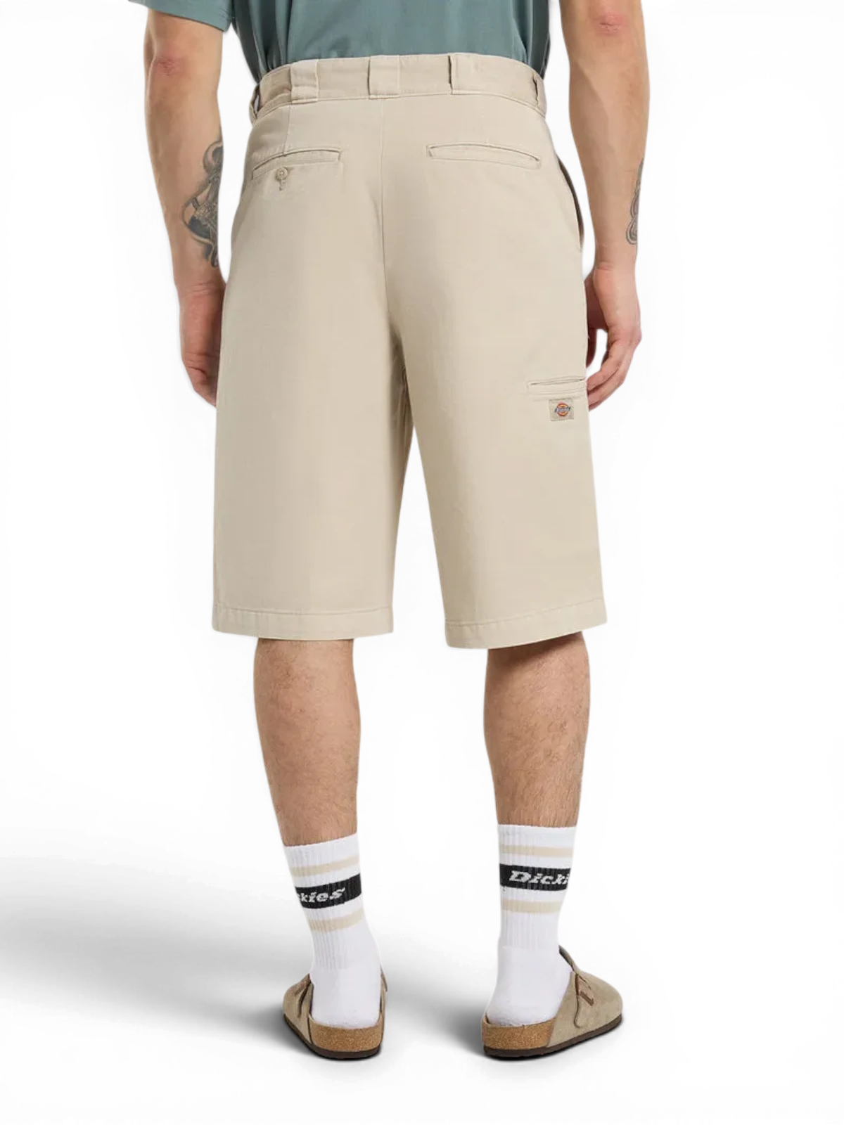 Shorts Dickies 247 Gd 13 Inch Work Short Stone, vue portée de l’arrière