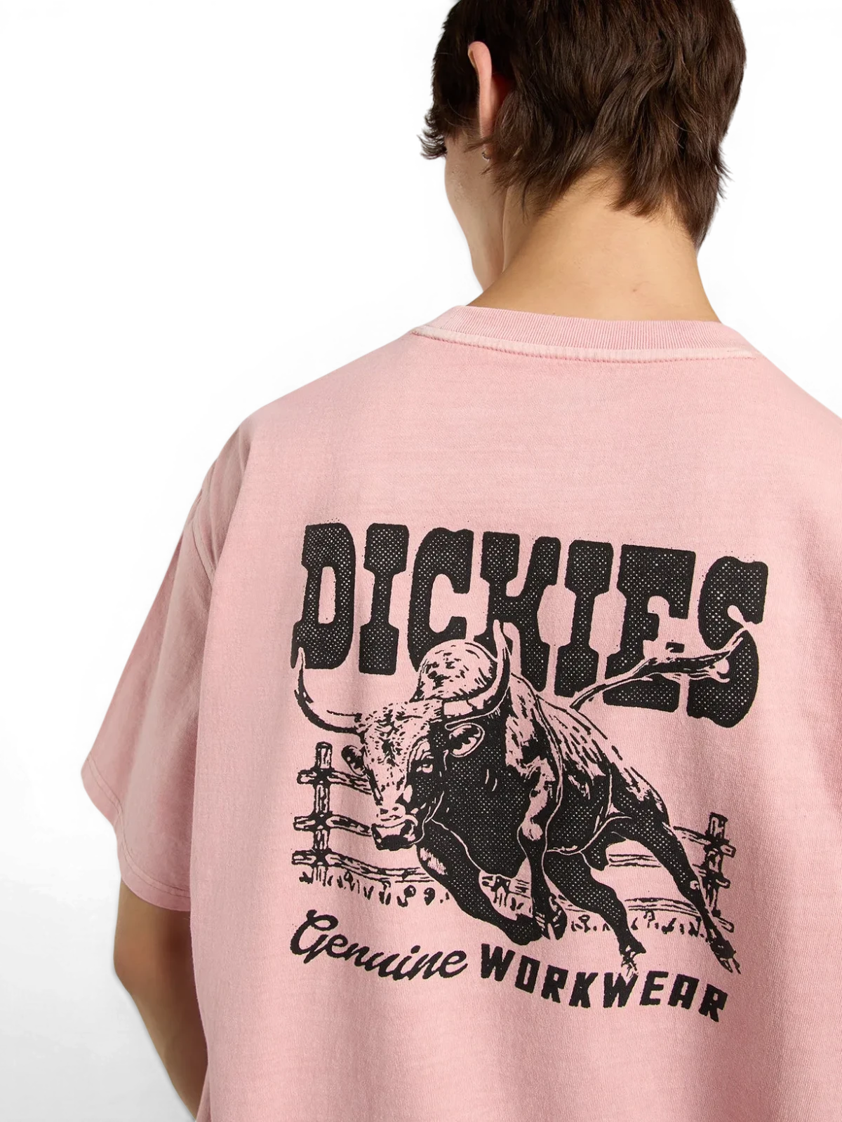 Teeshirts Dickies Buchtell Ss Tee Bridal Rose, Vue portée detail arrière