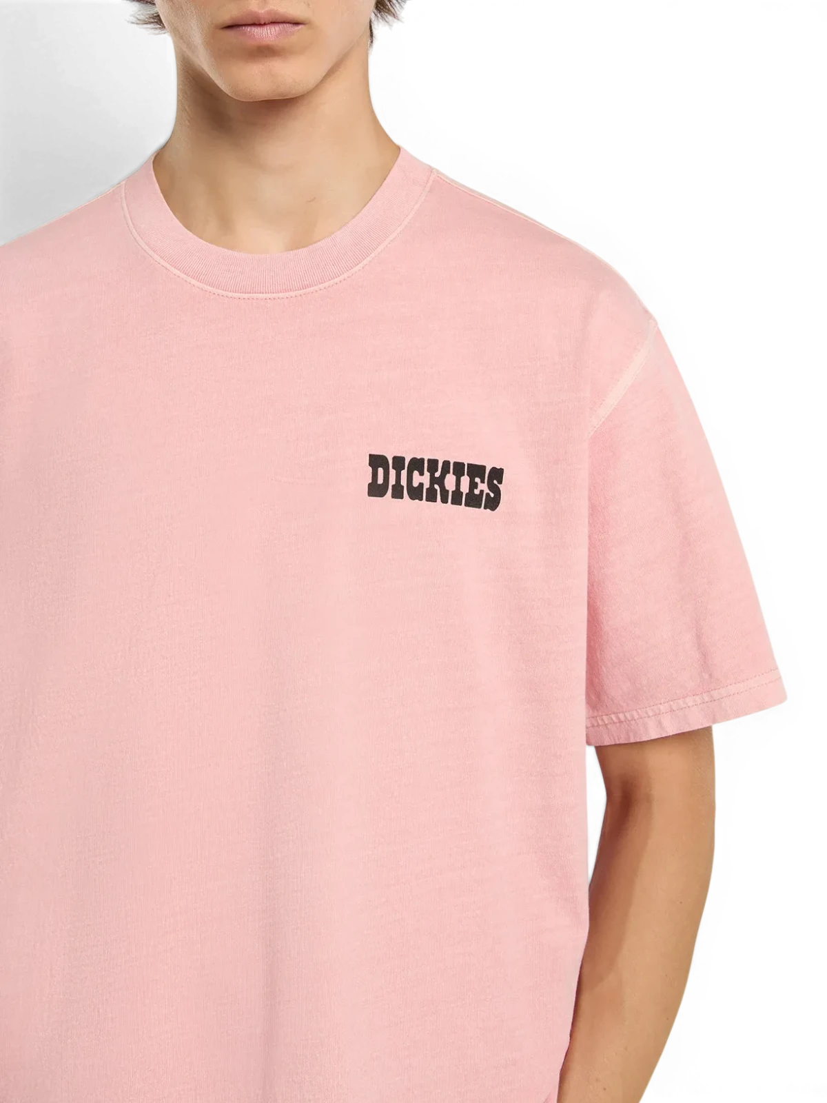 Teeshirts Dickies Buchtell Ss Tee Bridal Rose, vue detail teeshirt