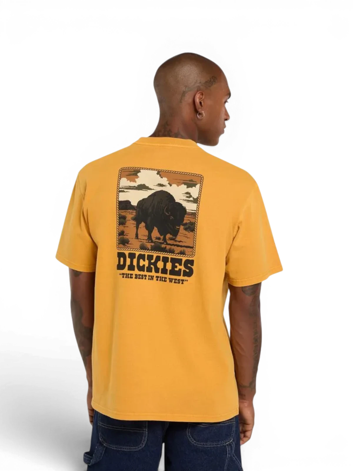 Teeshirts Dickies Darrtown Ss Tee Sunflower, vue face arriere portée