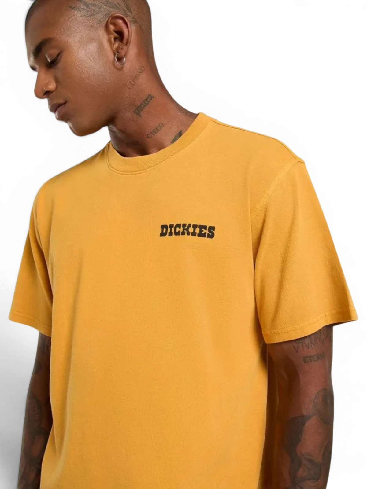 Teeshirts Dickies Darrtown Ss Tee Sunflower, Vue portée face avant