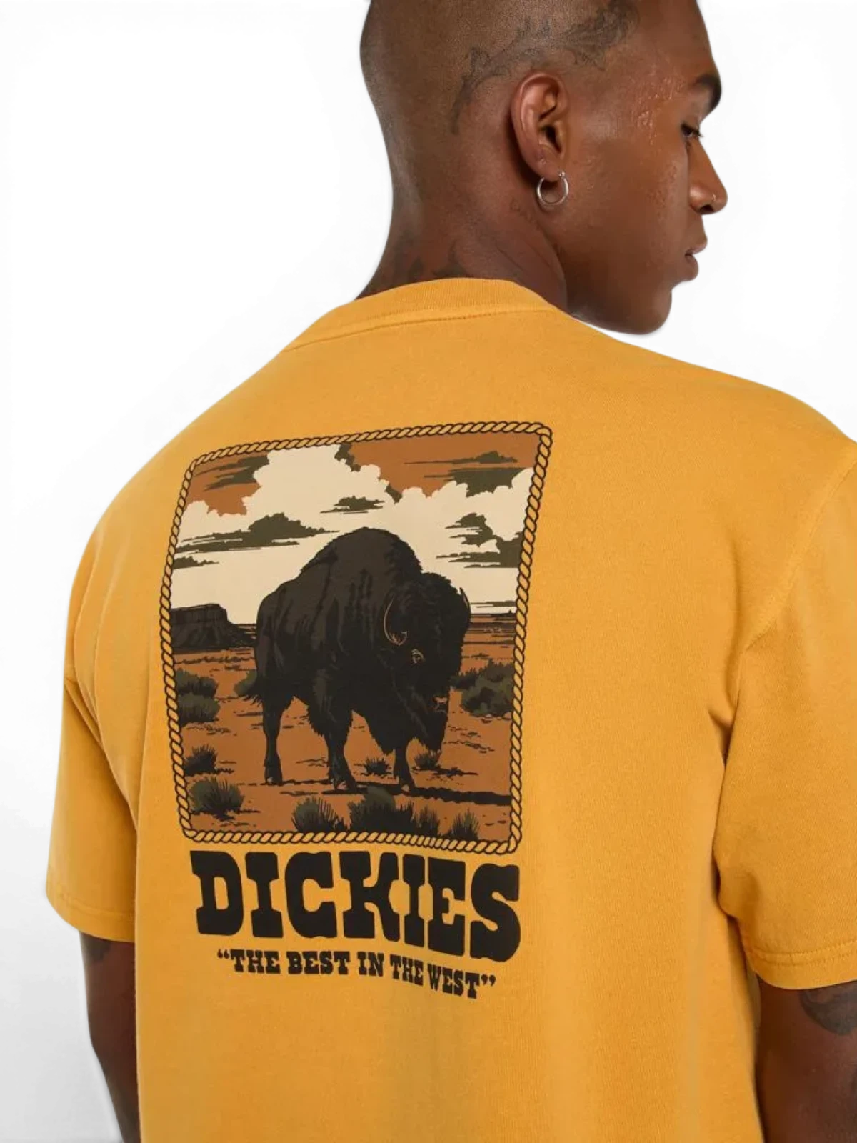 Teeshirts Dickies Darrtown Ss Tee Sunflower, vue portée face arrière