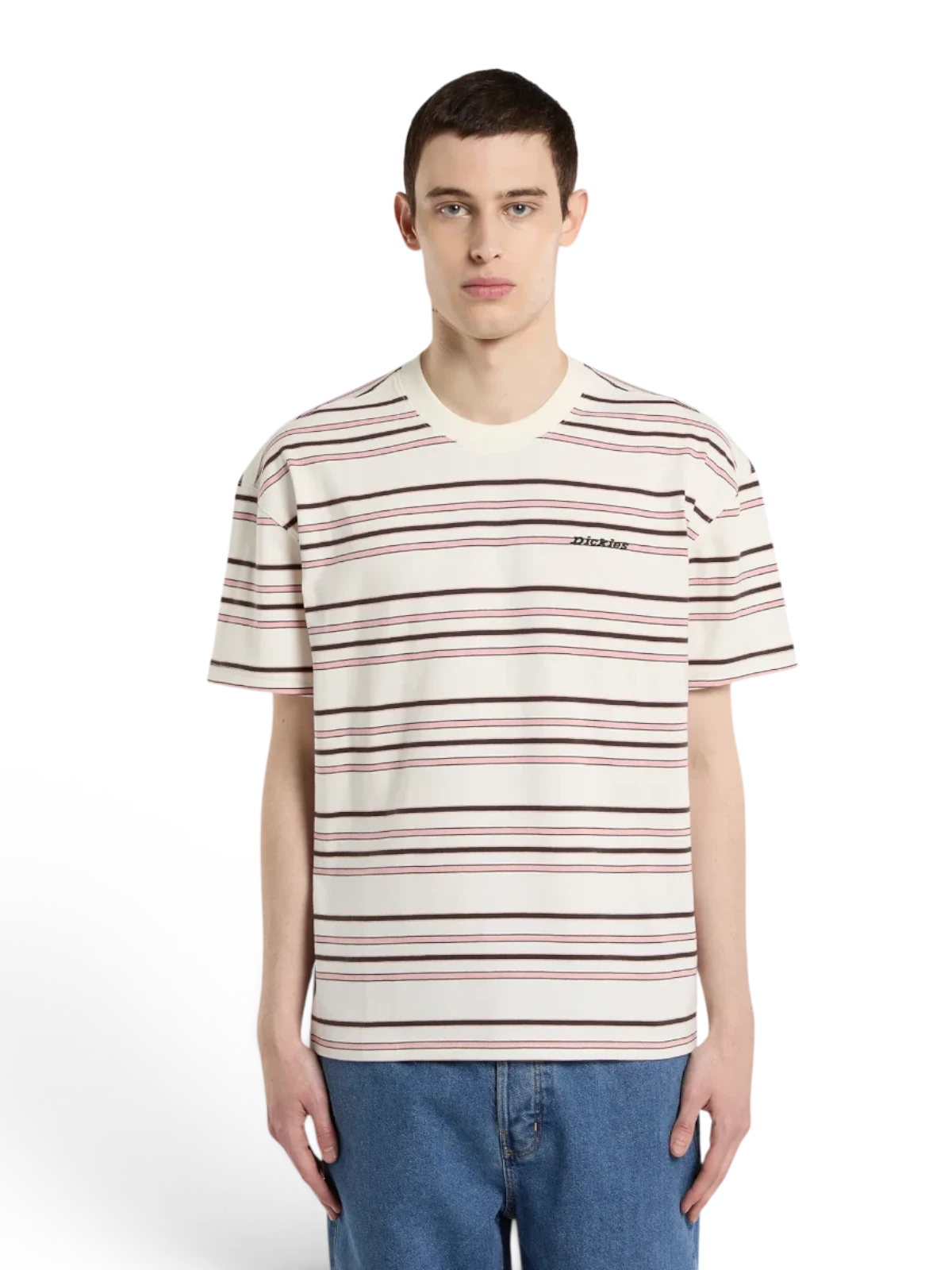Teeshirts Dickies East Liberty Stripe Tee Egret, vue portée de face