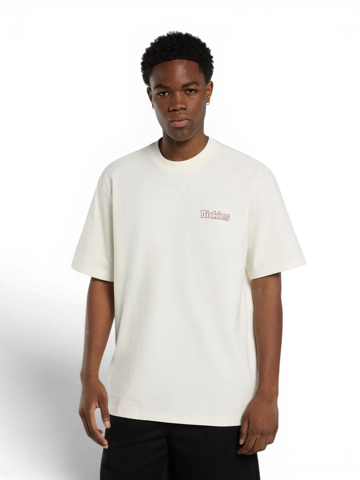 Teeshirts Dickies Fairlawn Ss Tee Egret, vue portée de face