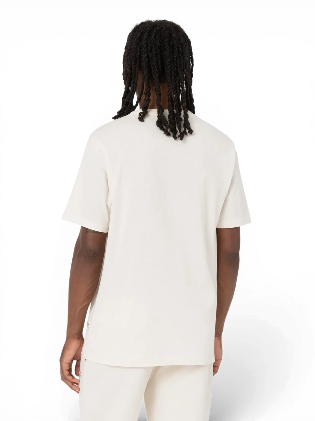 Teeshirts Dickies Mapleton Ss Tee Whitecap Gray, vue portée de l’arrière