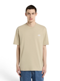 Teeshirts Dickies Summerdale Ss Tee Eucalyptus, vue portée de face homme
