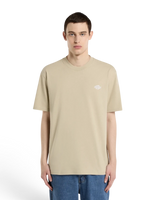 Dickies Summerdale Ss Tee Eucalyptus - Teeshirts