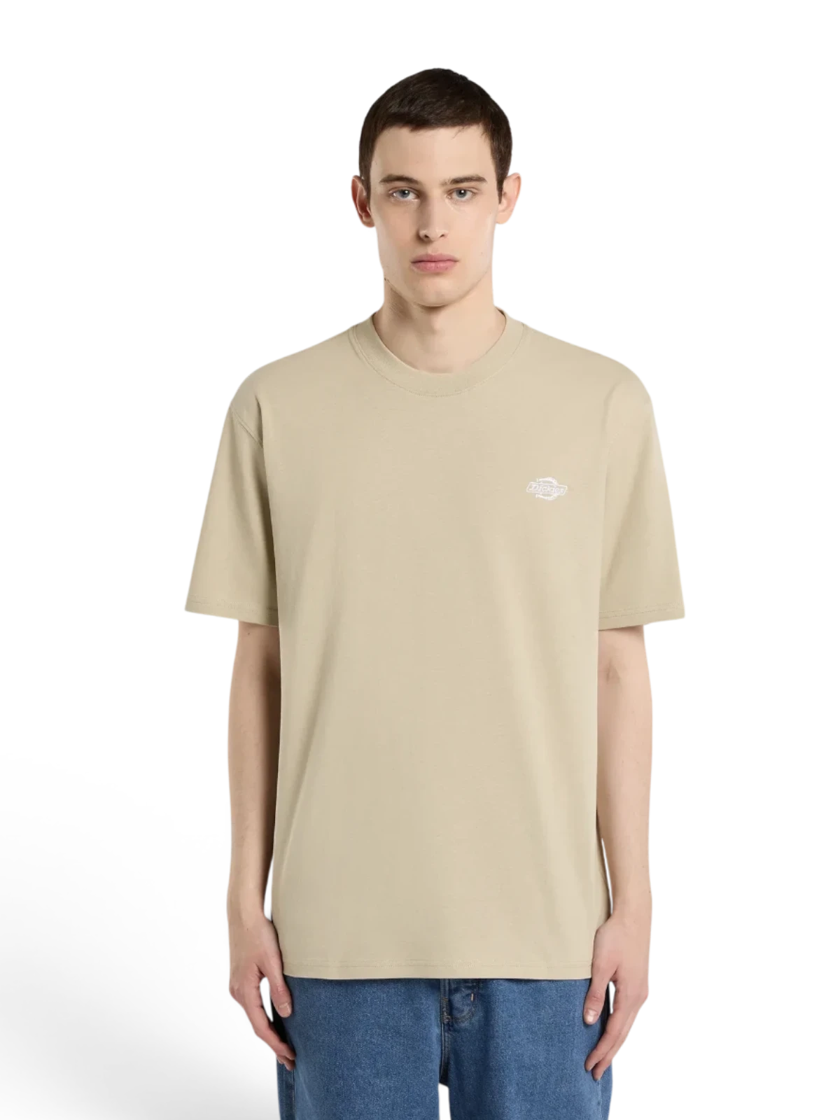 Teeshirts Dickies Summerdale Ss Tee Eucalyptus, vue portée de face homme