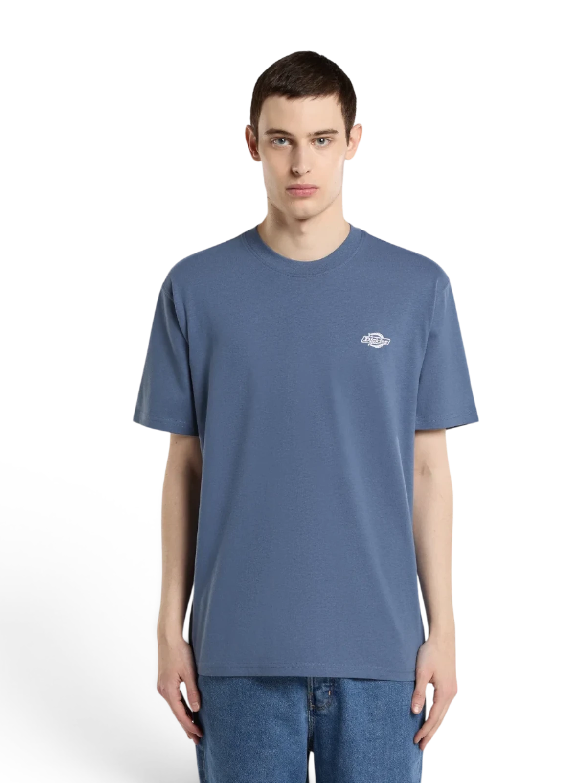Teeshirts Dickies Summerdale Ss Tee Retro Indigo, vue portée de face homme