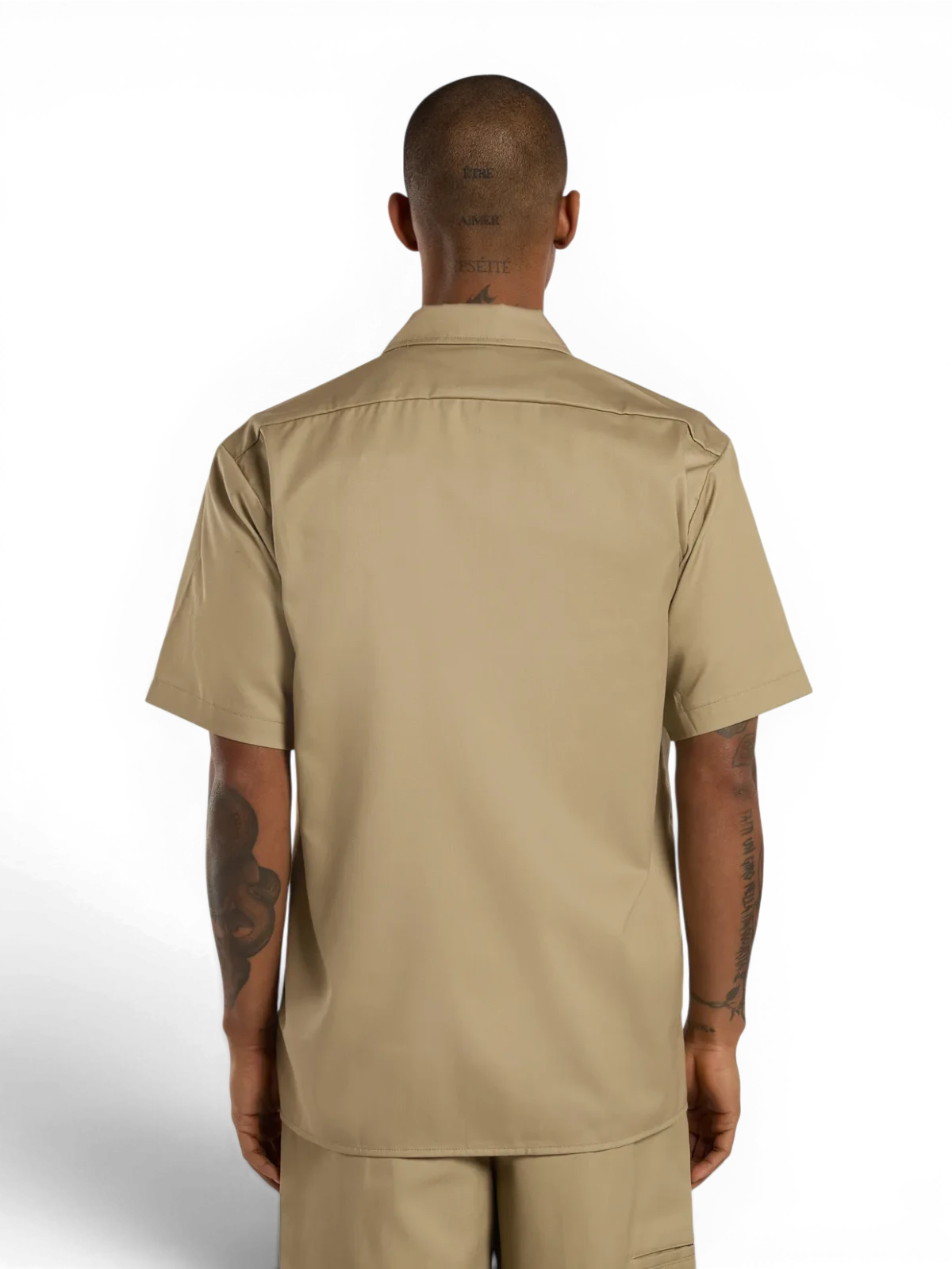 Chemises Dickies Work Shirt Ss Rec Khaki, vue portée de dos homme