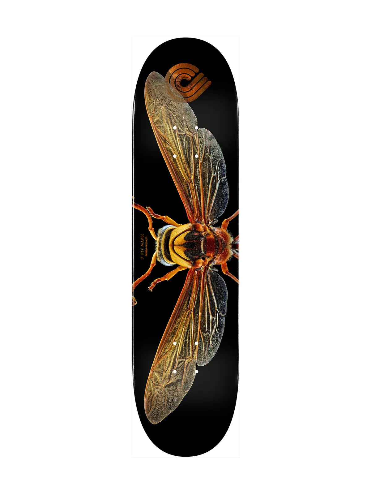 Planches de skate   Powell Deck Ps Biss Potter Wasp 8.0 X 31.45, vue de dessous