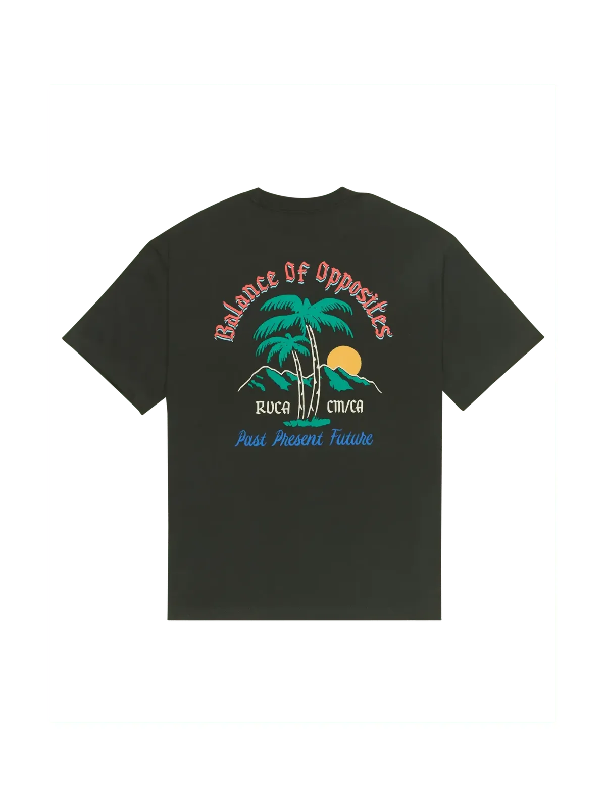 Teeshirts Rvca Frond Mural Ss Pirate Black, vue de dos a plat
