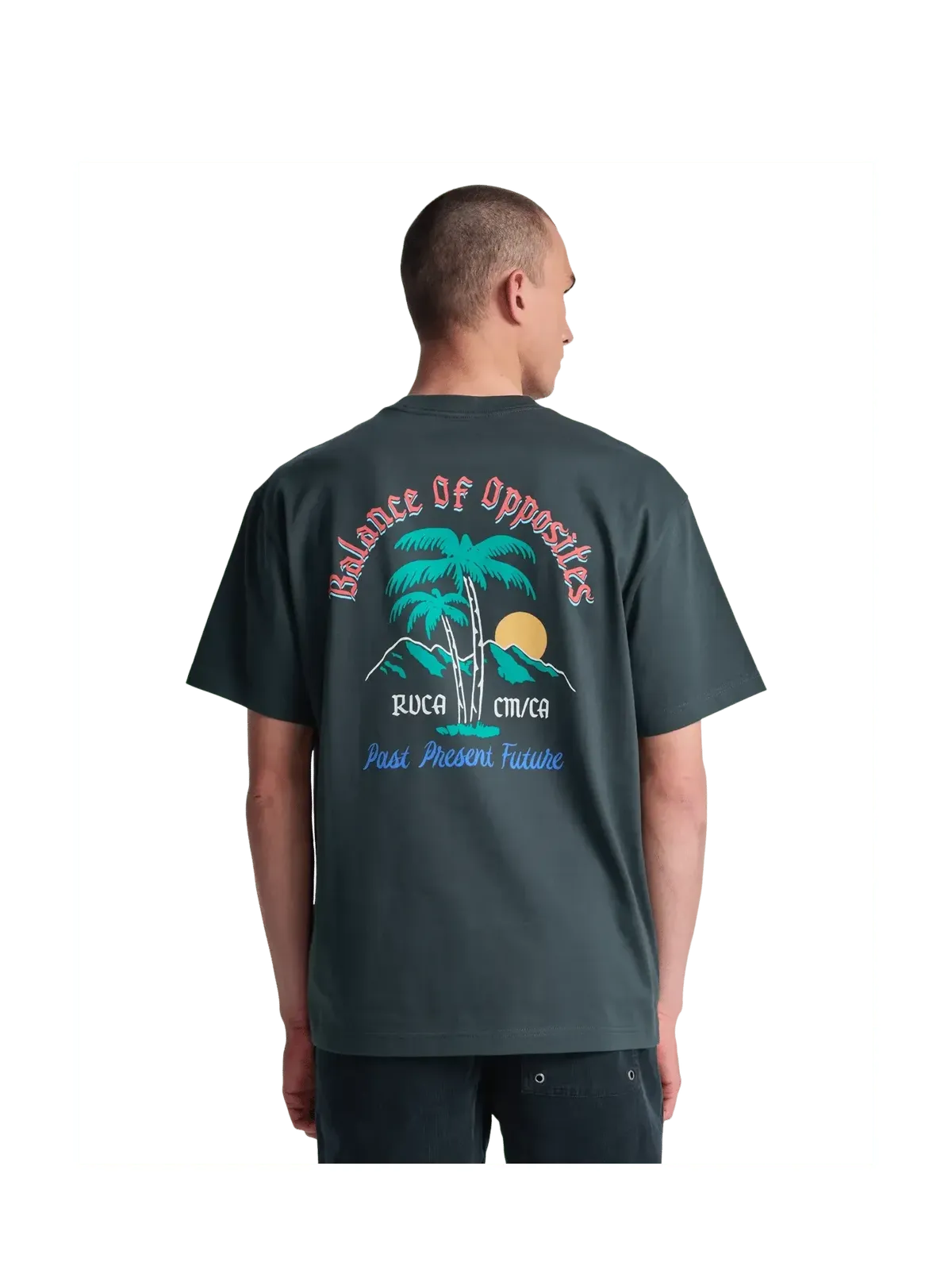Teeshirts Rvca Frond Mural Ss Pirate Black, vue portée de dos
