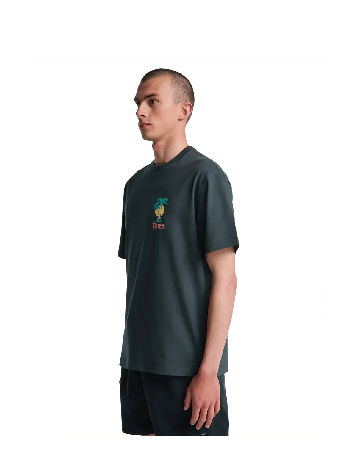 Teeshirts Rvca Frond Mural Ss Pirate Black, vue porté de ¾