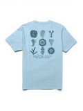 Teeshirts Salty crew Coral Head Ss Tee Clear Sky, vue à plat arrière