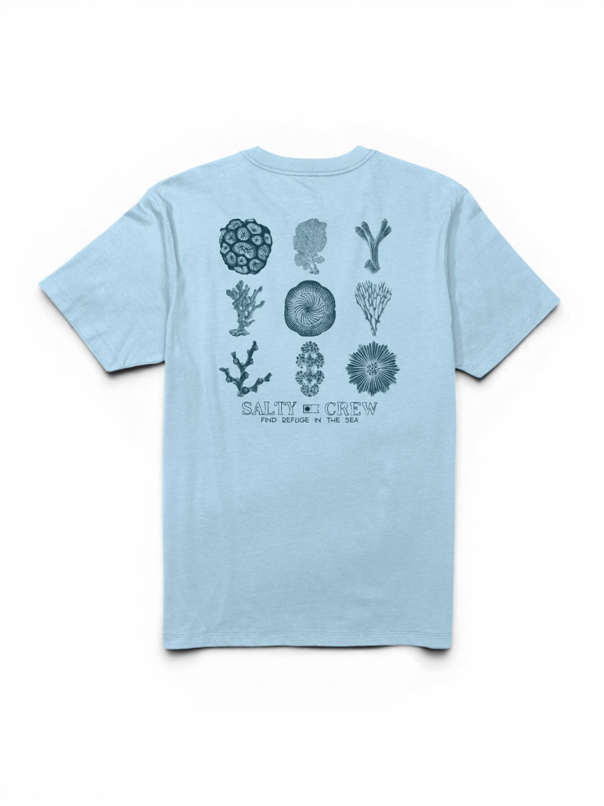 Teeshirts Salty crew Coral Head Ss Tee Clear Sky, vue à plat arrière