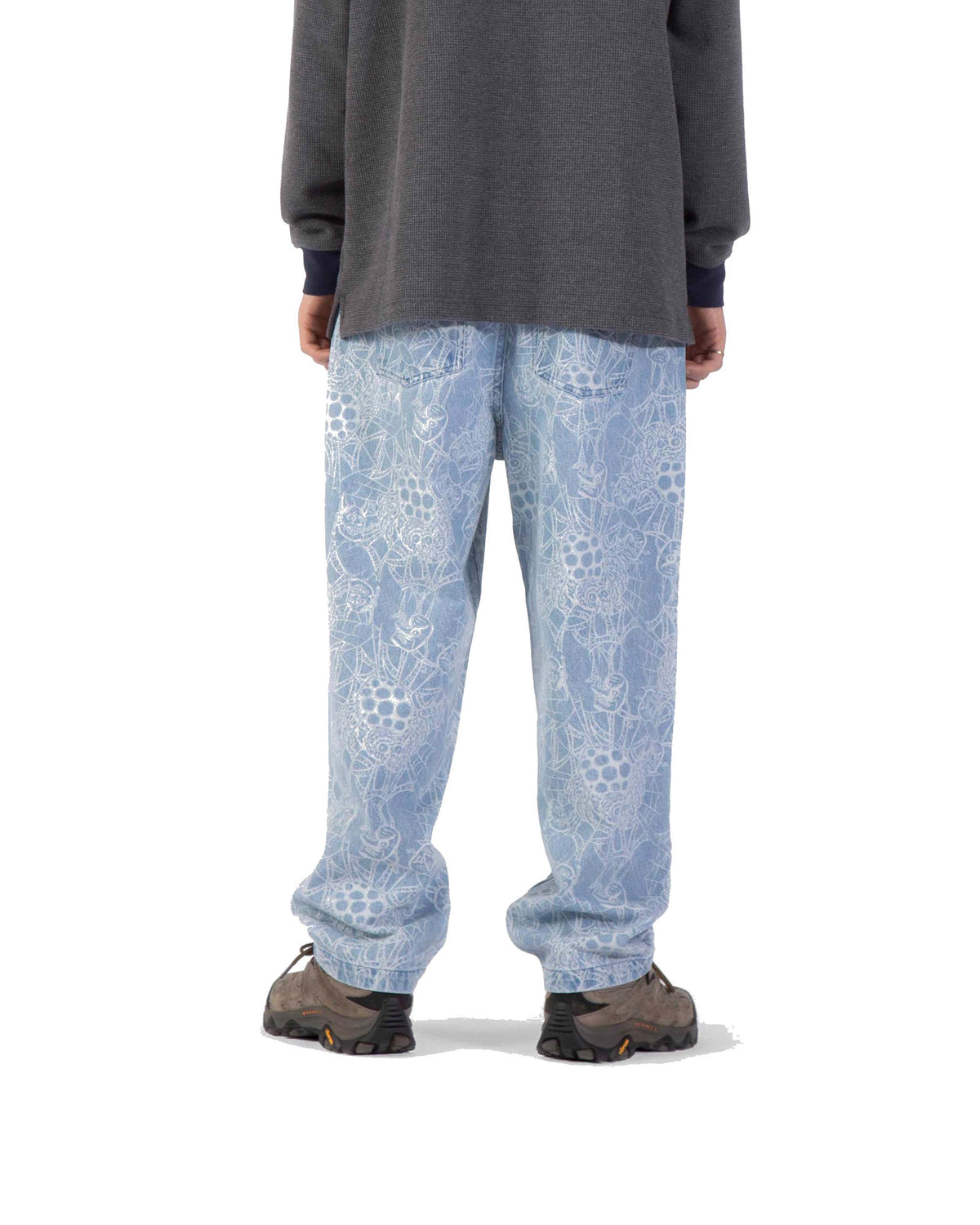Pantalons Santa cruz Big Pants Dressen Spider, vue de dos porté