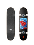 Skateboards complets Tricks Betta 8.25"x31.85" MAXI Complete , vue dessus/dessous